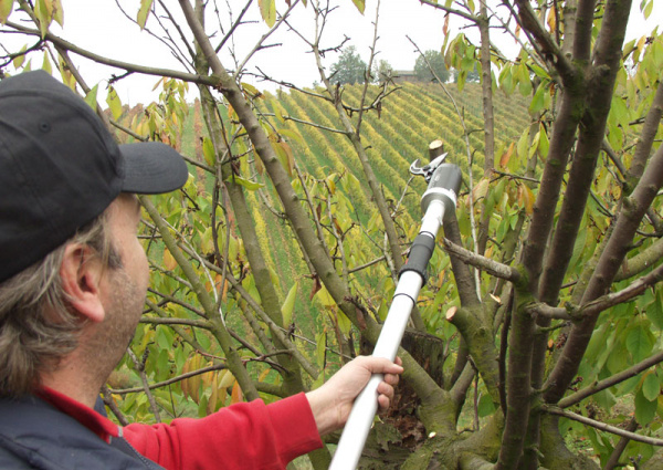 Секатор пневматический LISAM Super Sly