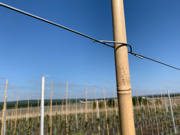 Скоба Стебофикс (для бамбука)