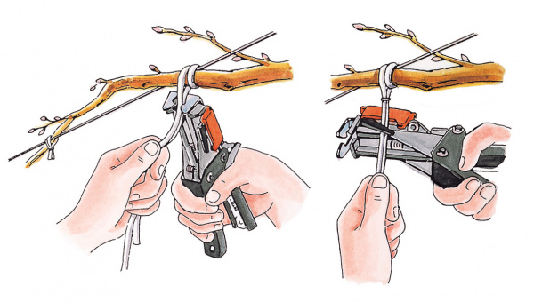Подвязчик для кембрика MAX HR-F